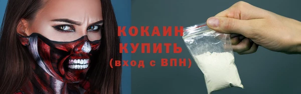 шишки Богородск