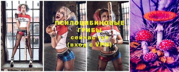 прущие крисы Белокуриха