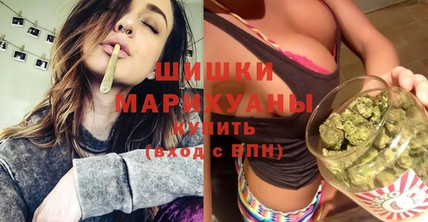 прущие крисы Белокуриха