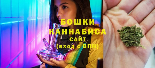 прущие крисы Белокуриха