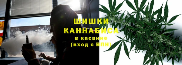 прущие крисы Белокуриха