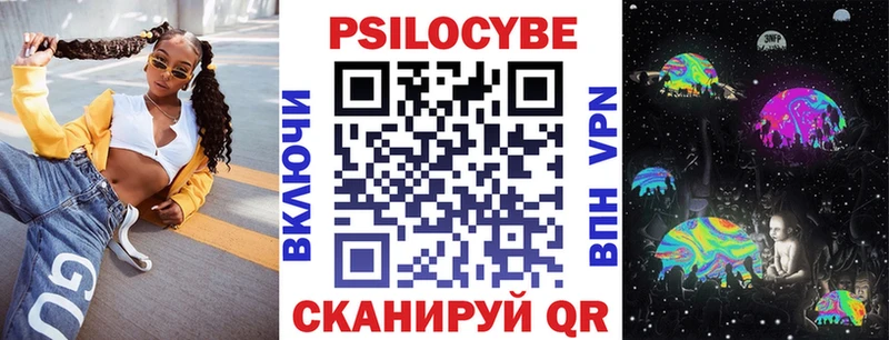 наркотики  Дальнегорск  дарк нет какой сайт  Псилоцибиновые грибы мухоморы 